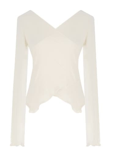 Swan ballet top