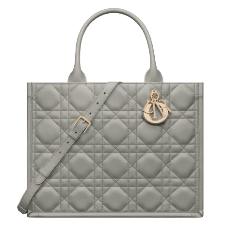 DIOR BOOK TOTE 미디엄 백
