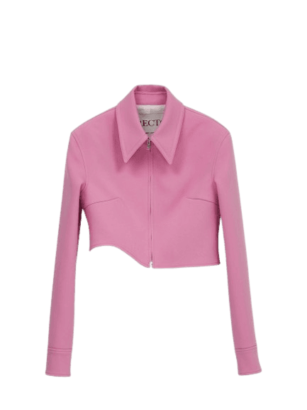 RC SIGNATURE DETAIL MICA CROP ZIP JACKET