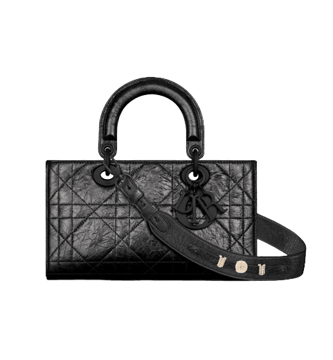 Lady D-Sire My ABCDior 스몰 백