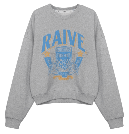 RAIVE SweatShirt In Grey