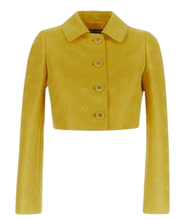 DG 로고 퀼팅 자카드 쇼트 재킷