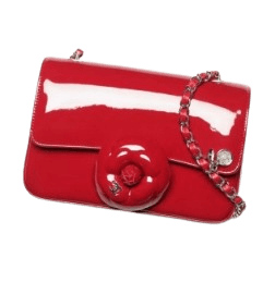 스몰 플랩 백 페이턴트 카프스킨