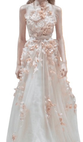 HOUSE OF AMY CRUISE 2024 COSY