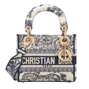 Lady D-Lite 미니 백